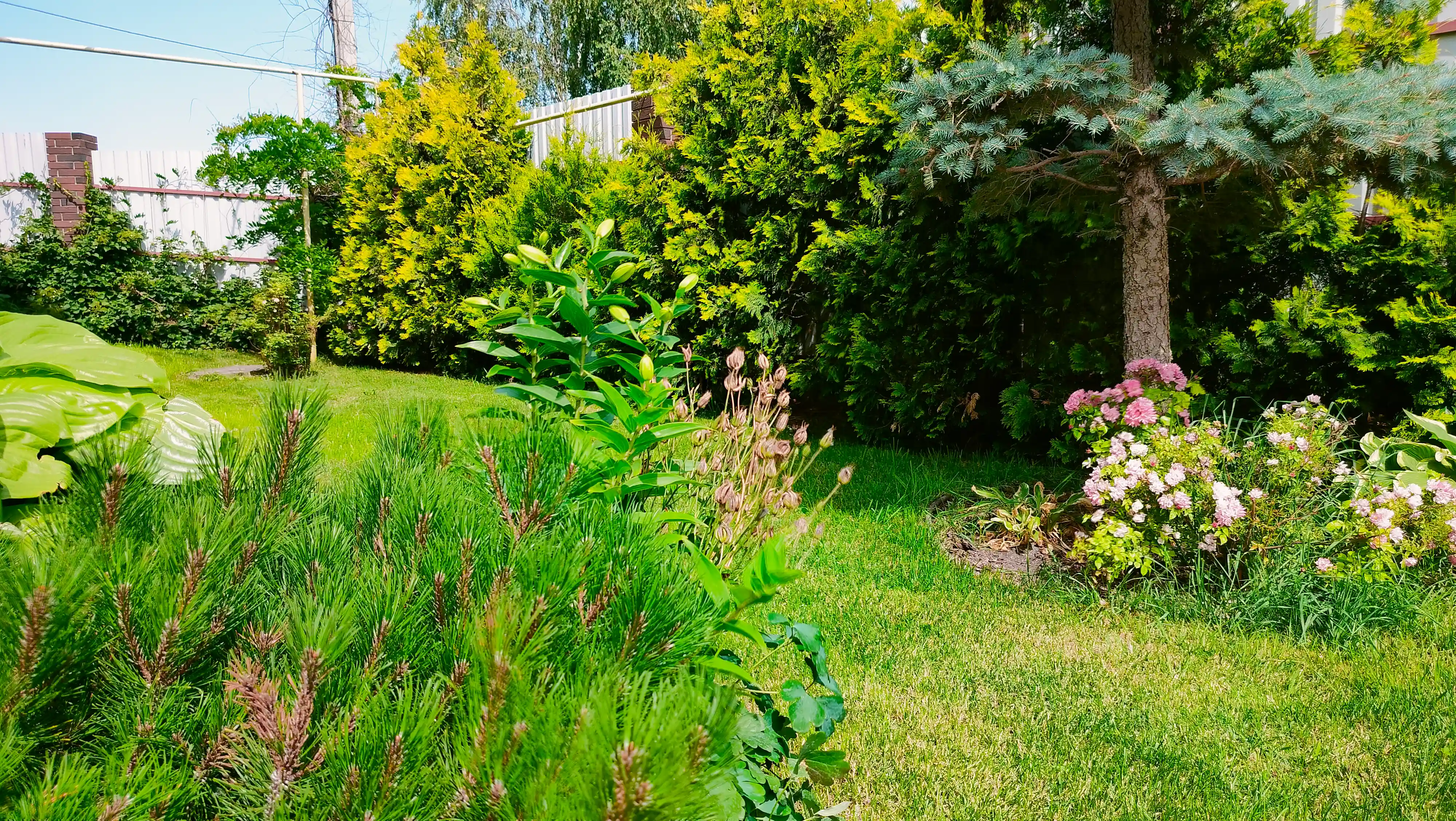 Дом Премиум Царев с участком, баней, летней кухней